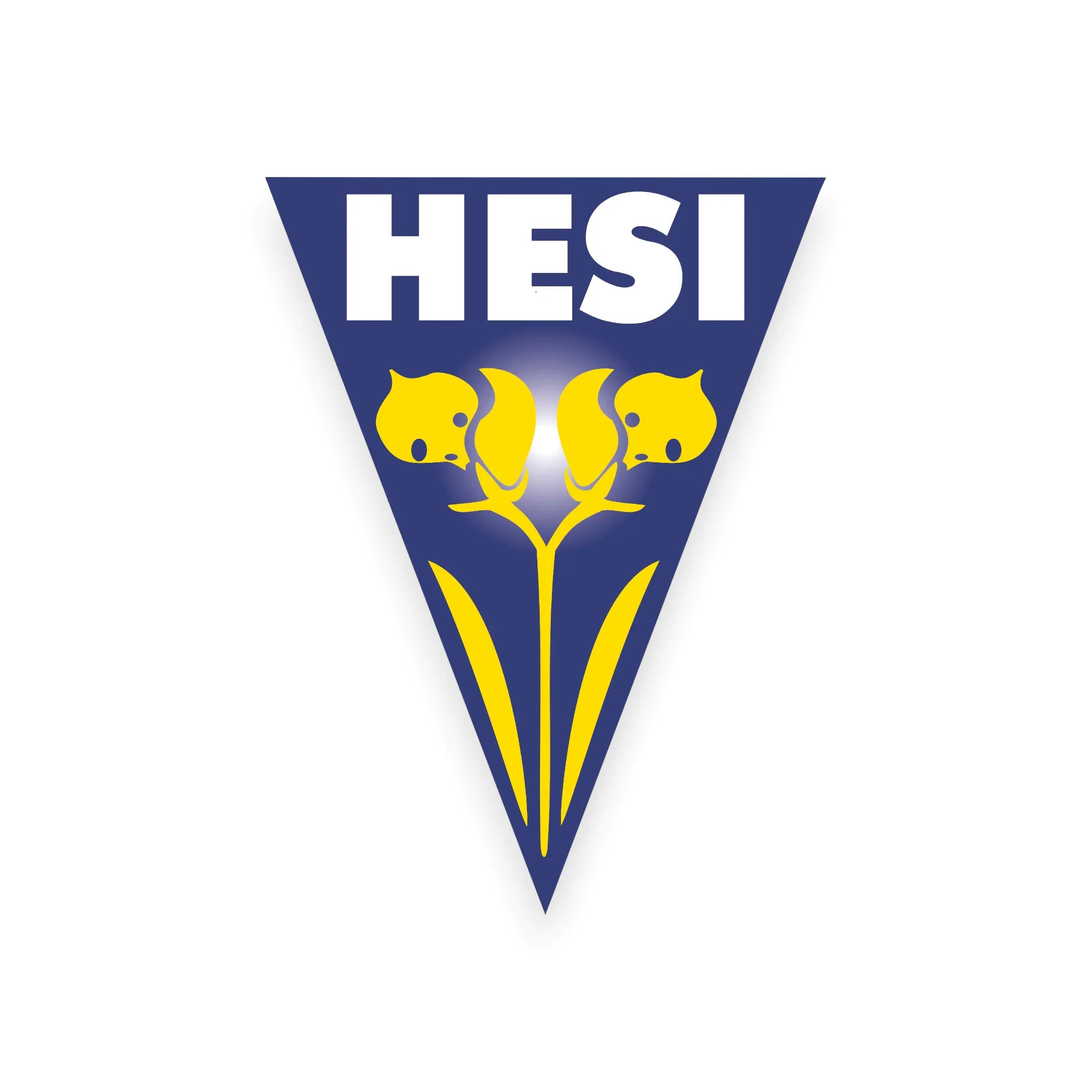 Hesi