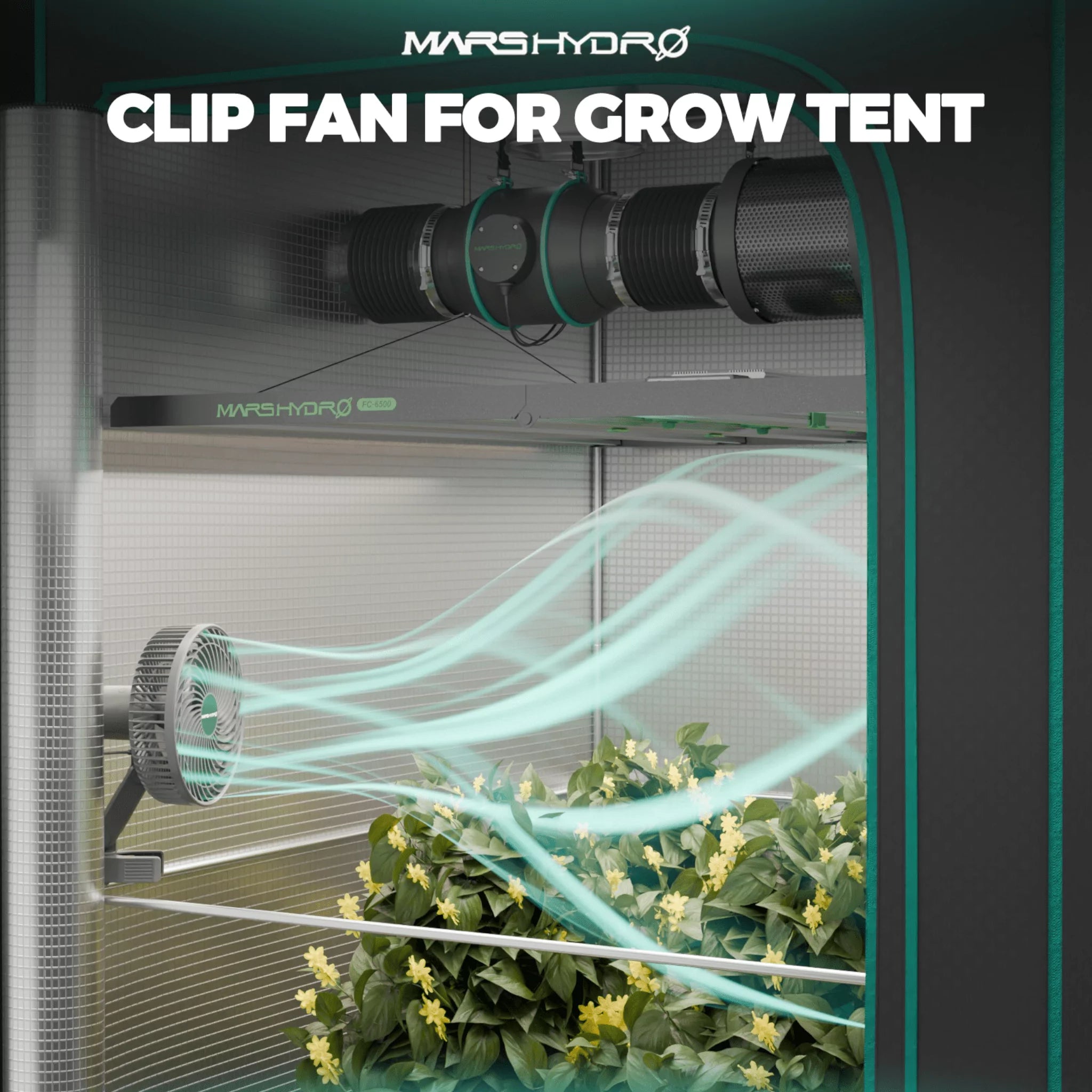 Mars Hydro Growbox-Set TS-600