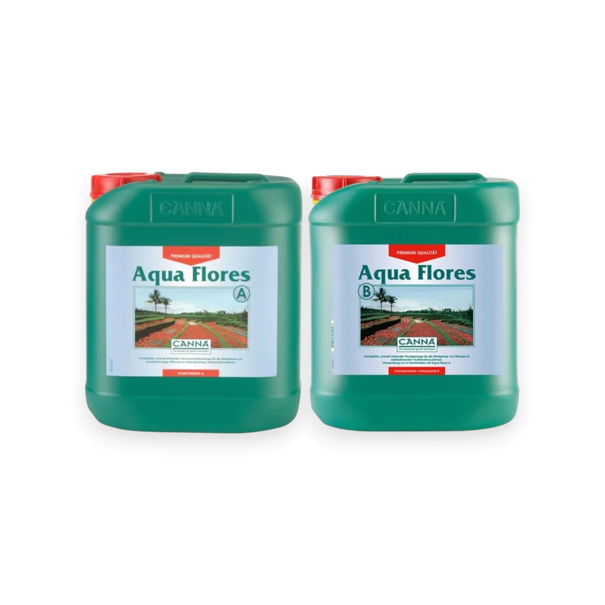 Canna Aqua Flores A&B