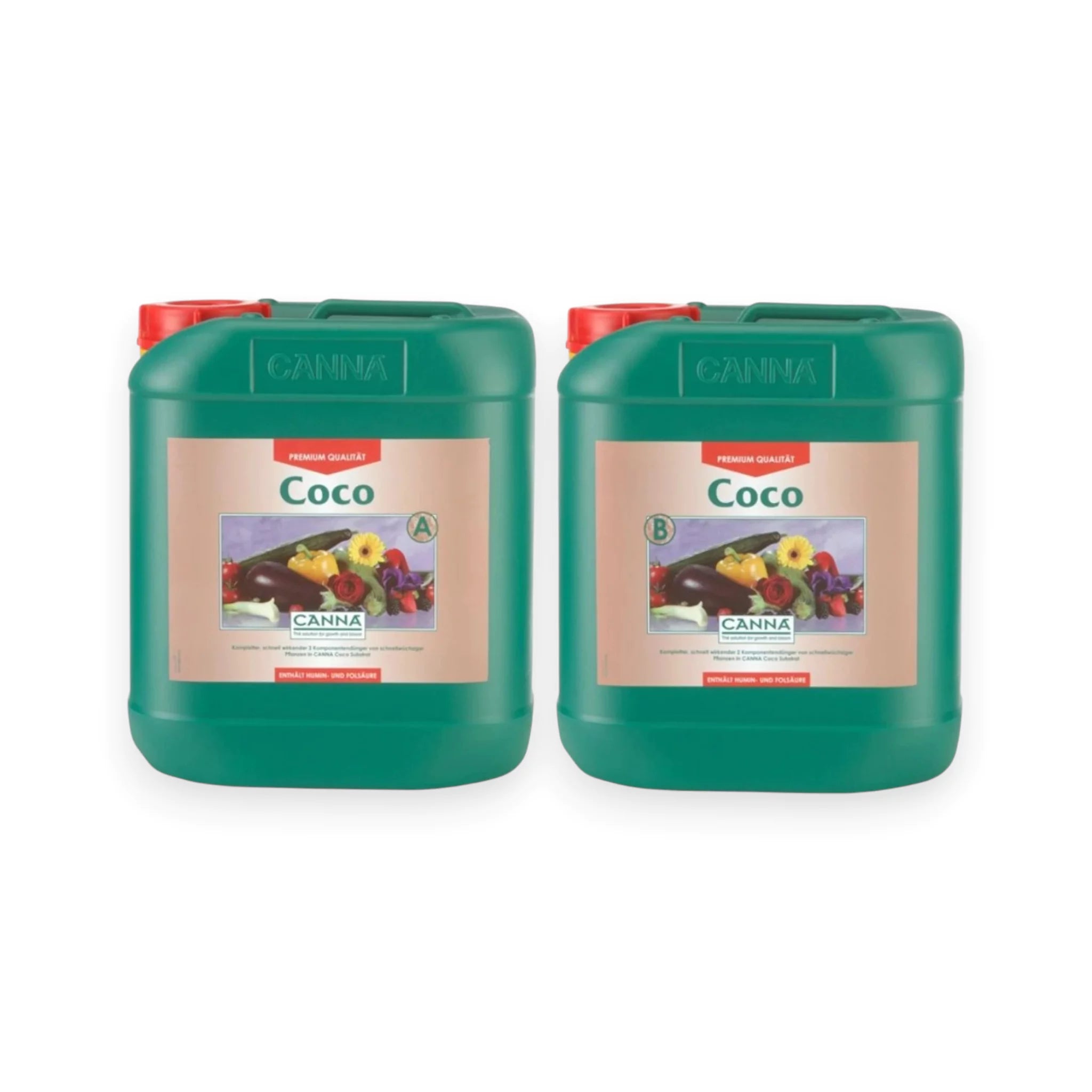 Canna Coco A&B