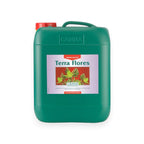 Canna Terra Flores