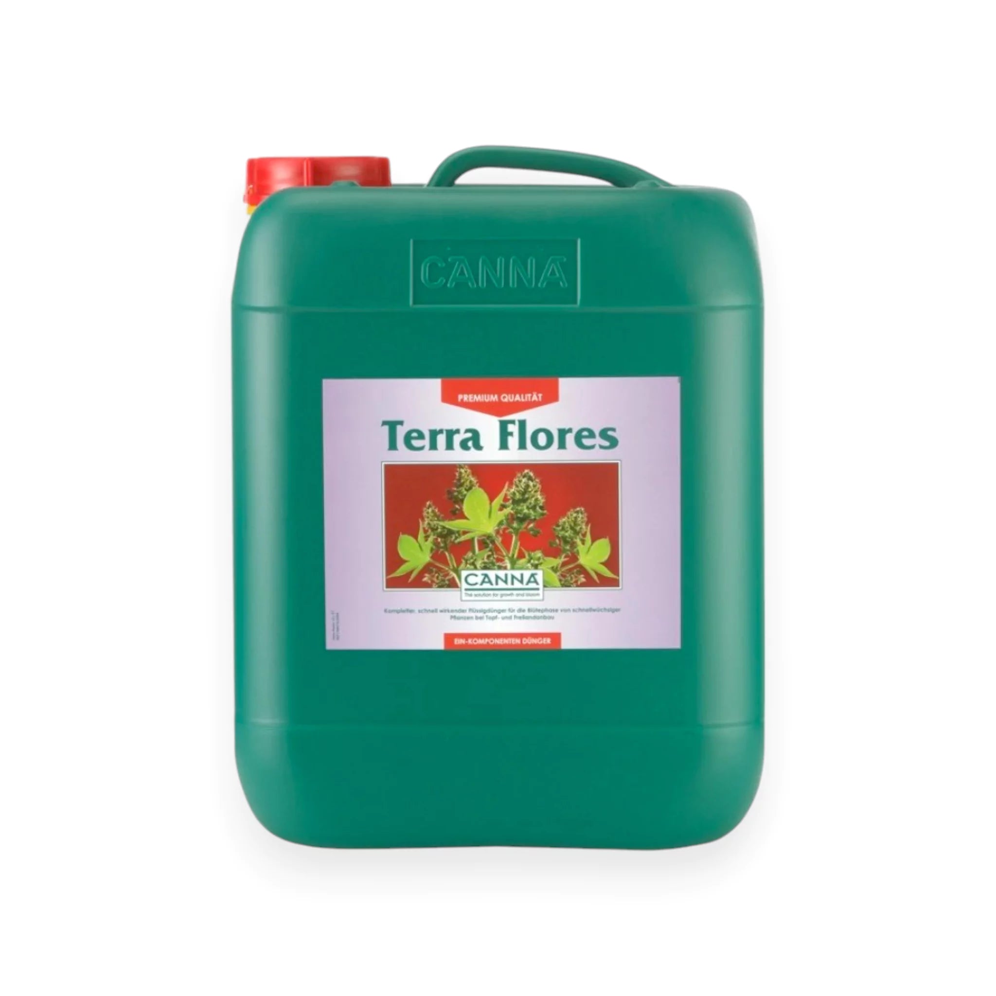 Canna Terra Flores