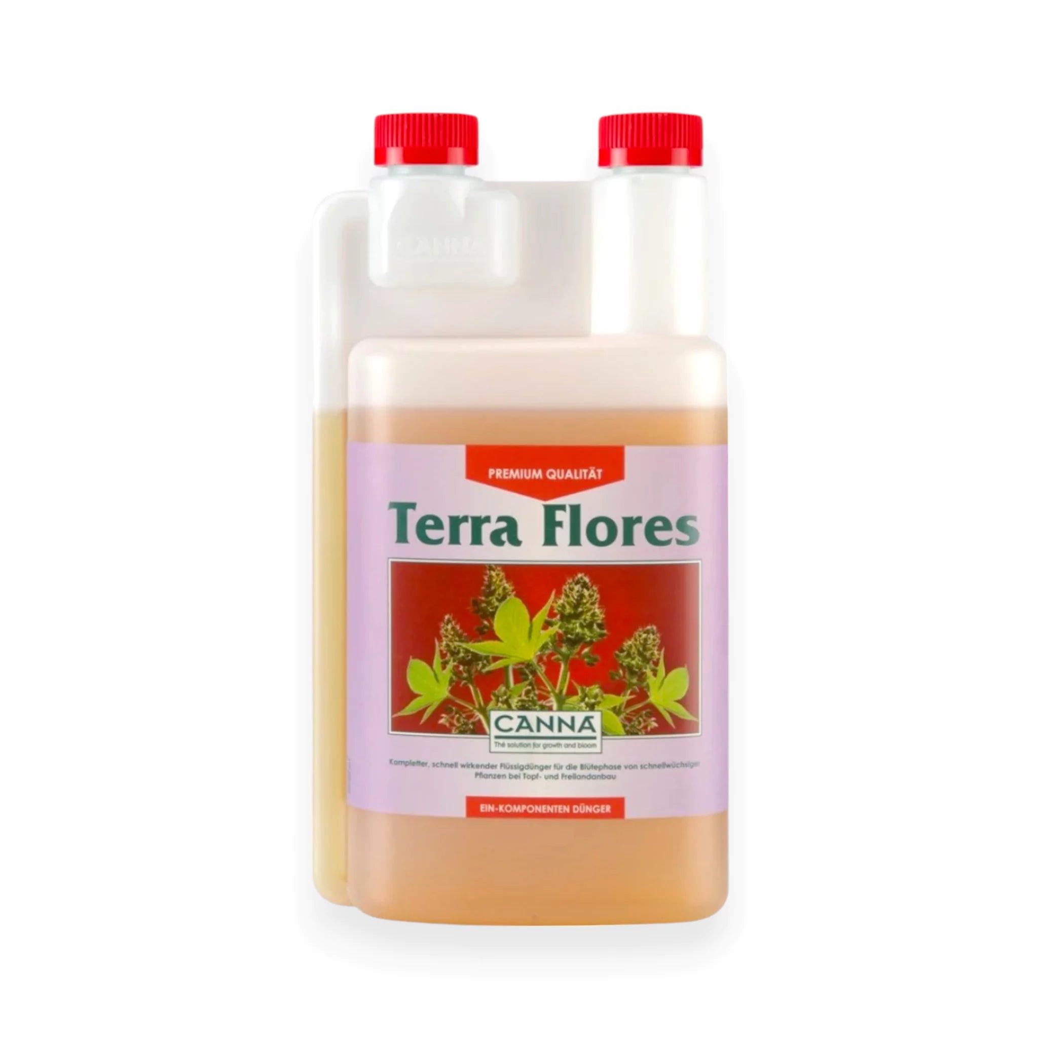 Canna Terra Flores