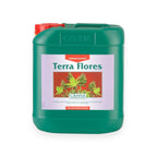 Canna Terra Flores