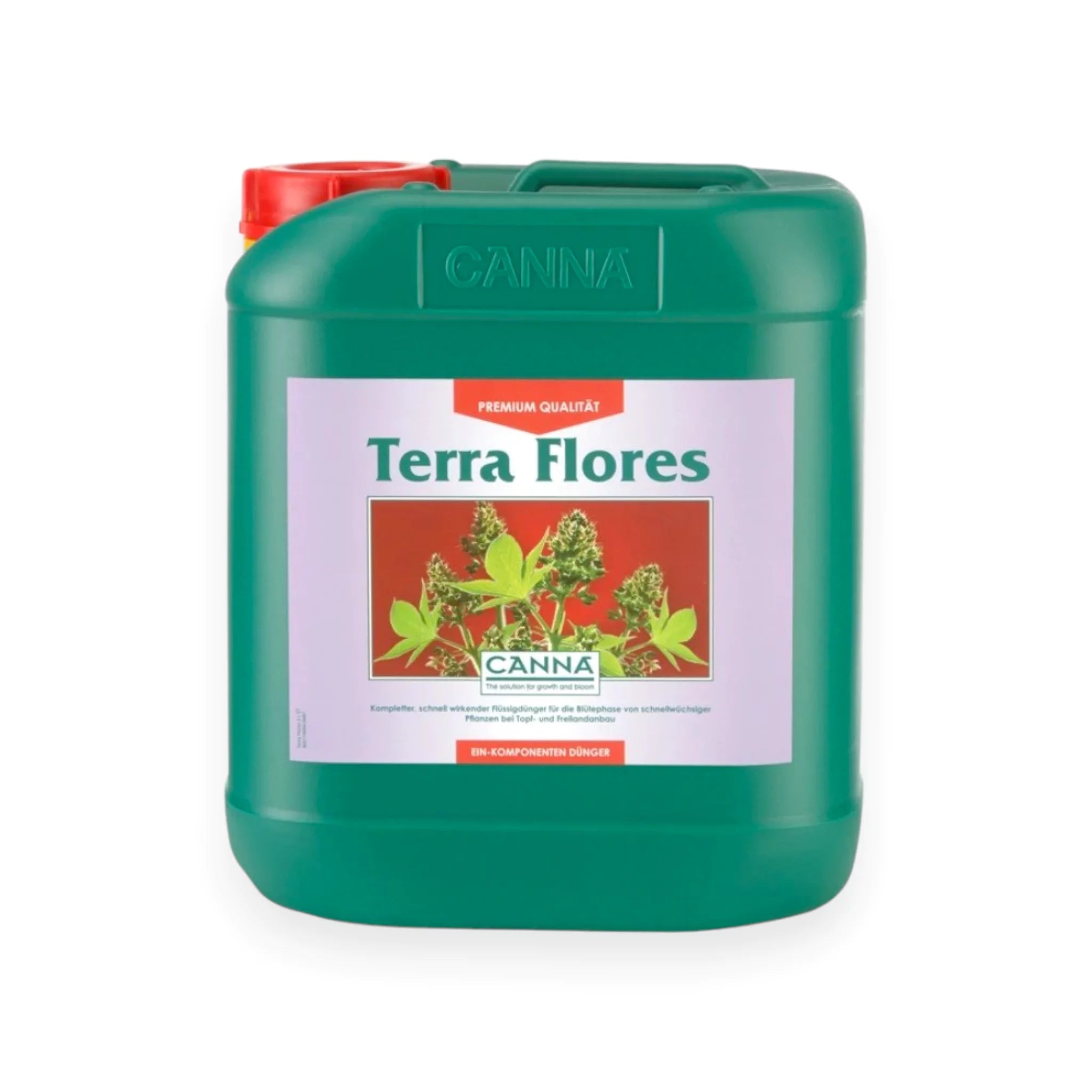 Canna Terra Flores
