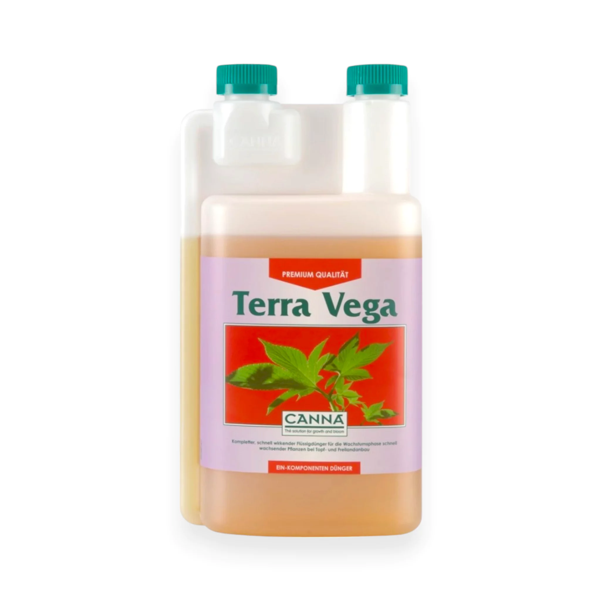 Canna Terra Vega
