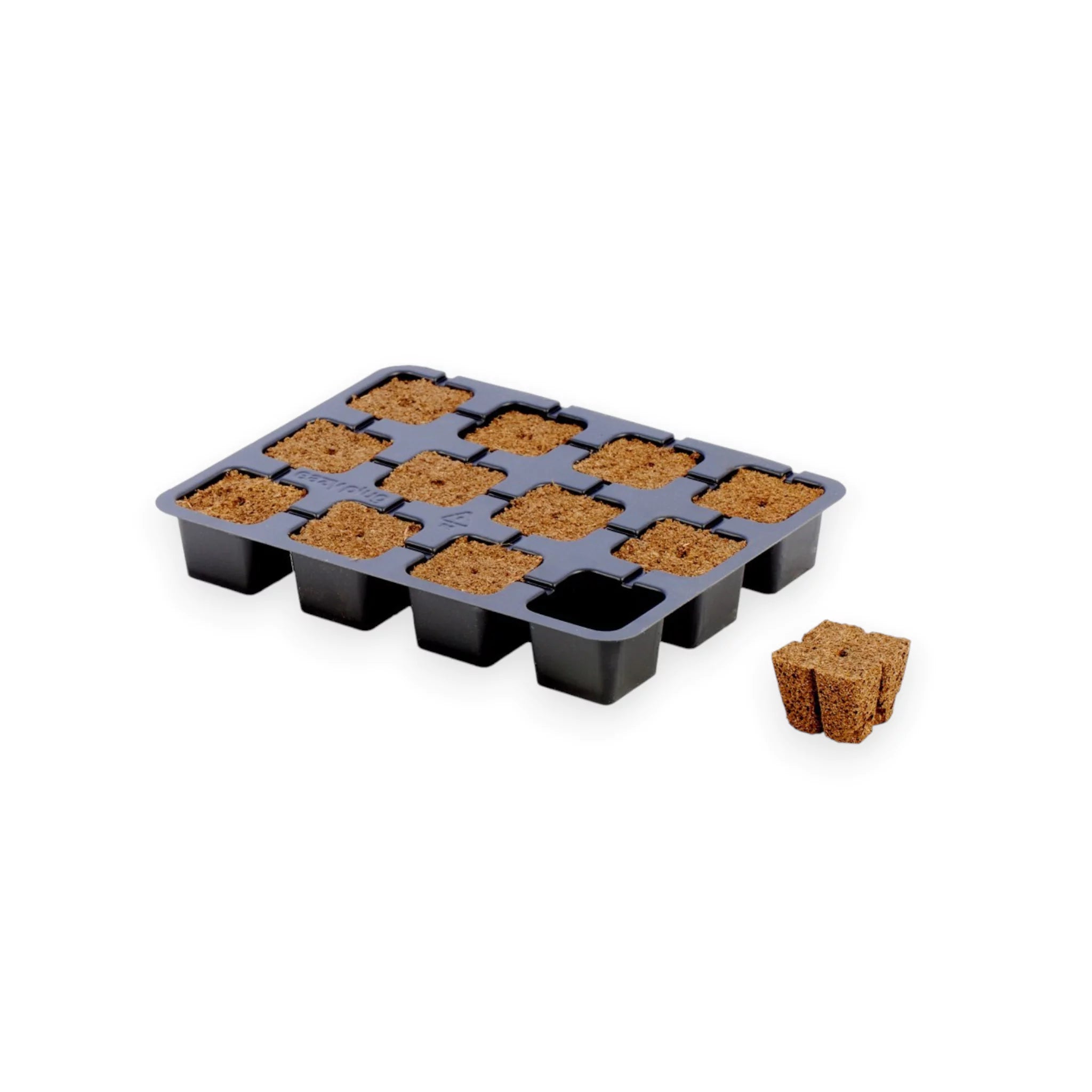 Eazy Plug Anzucht Tray