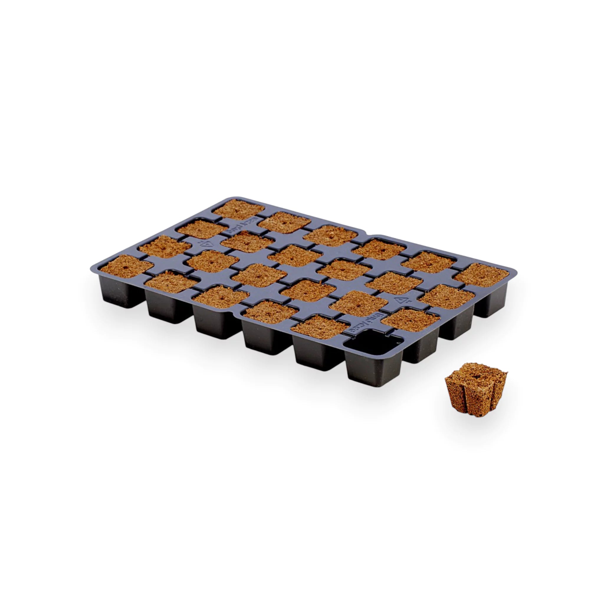 Eazy Plug Anzucht Tray