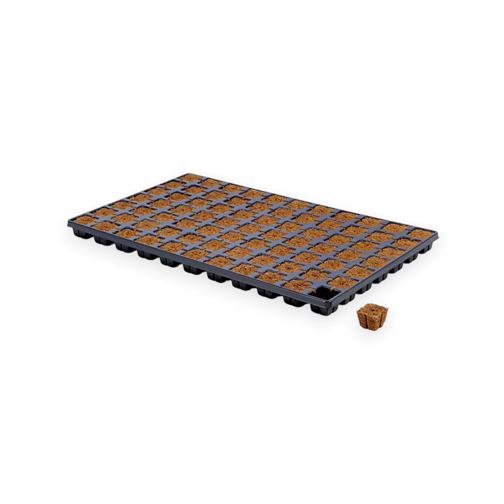 Eazy Plug Anzucht Tray