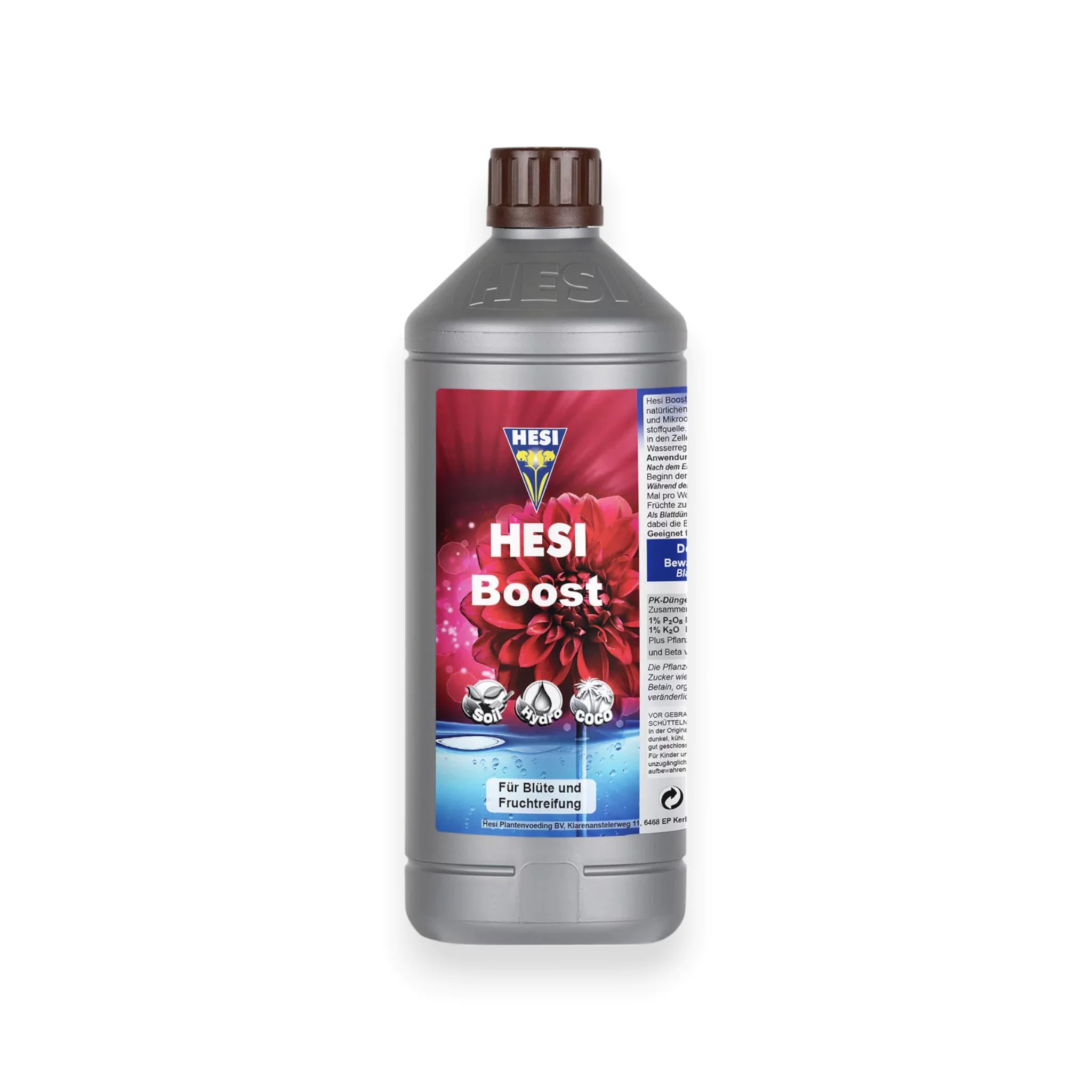 Hesi Boost
