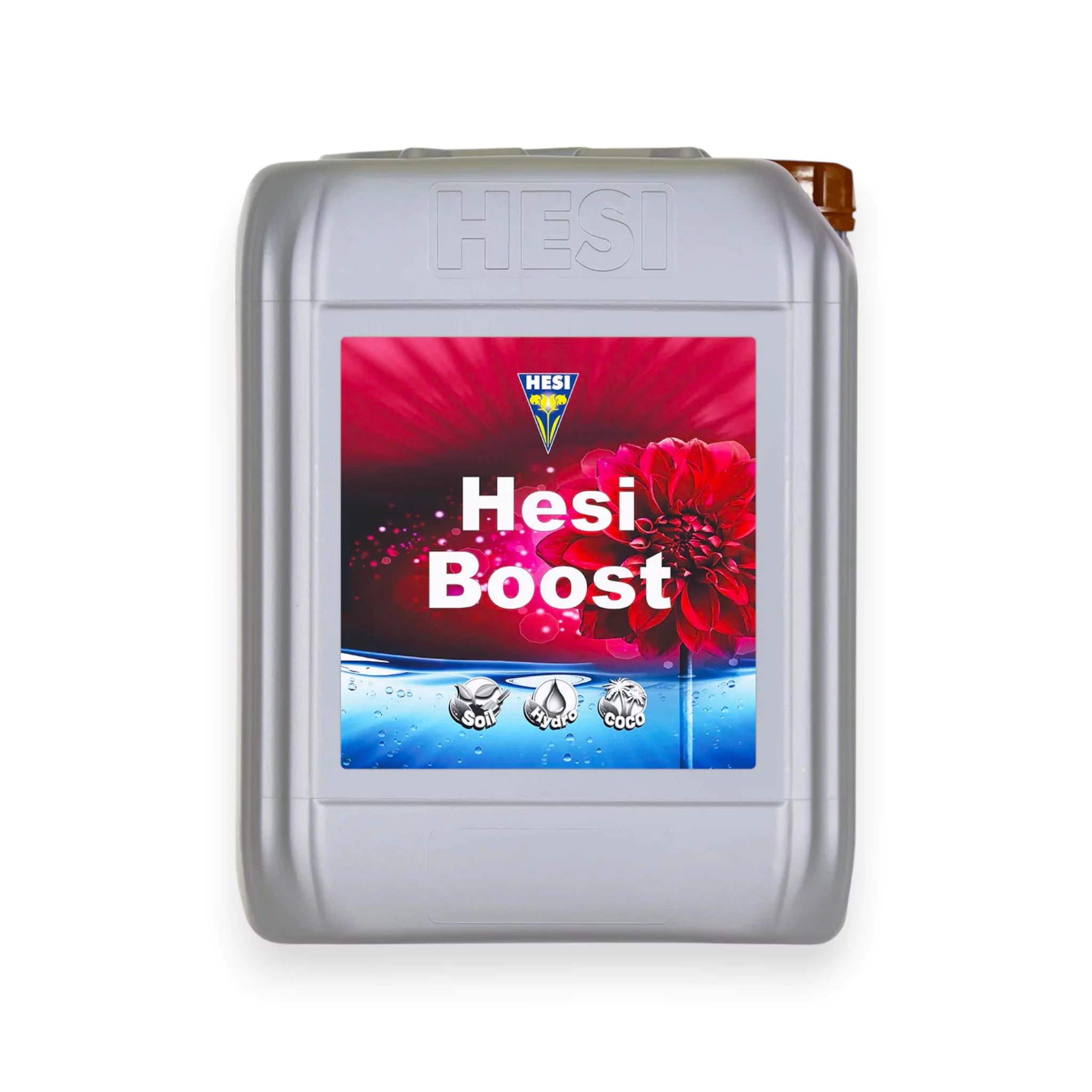Hesi Boost