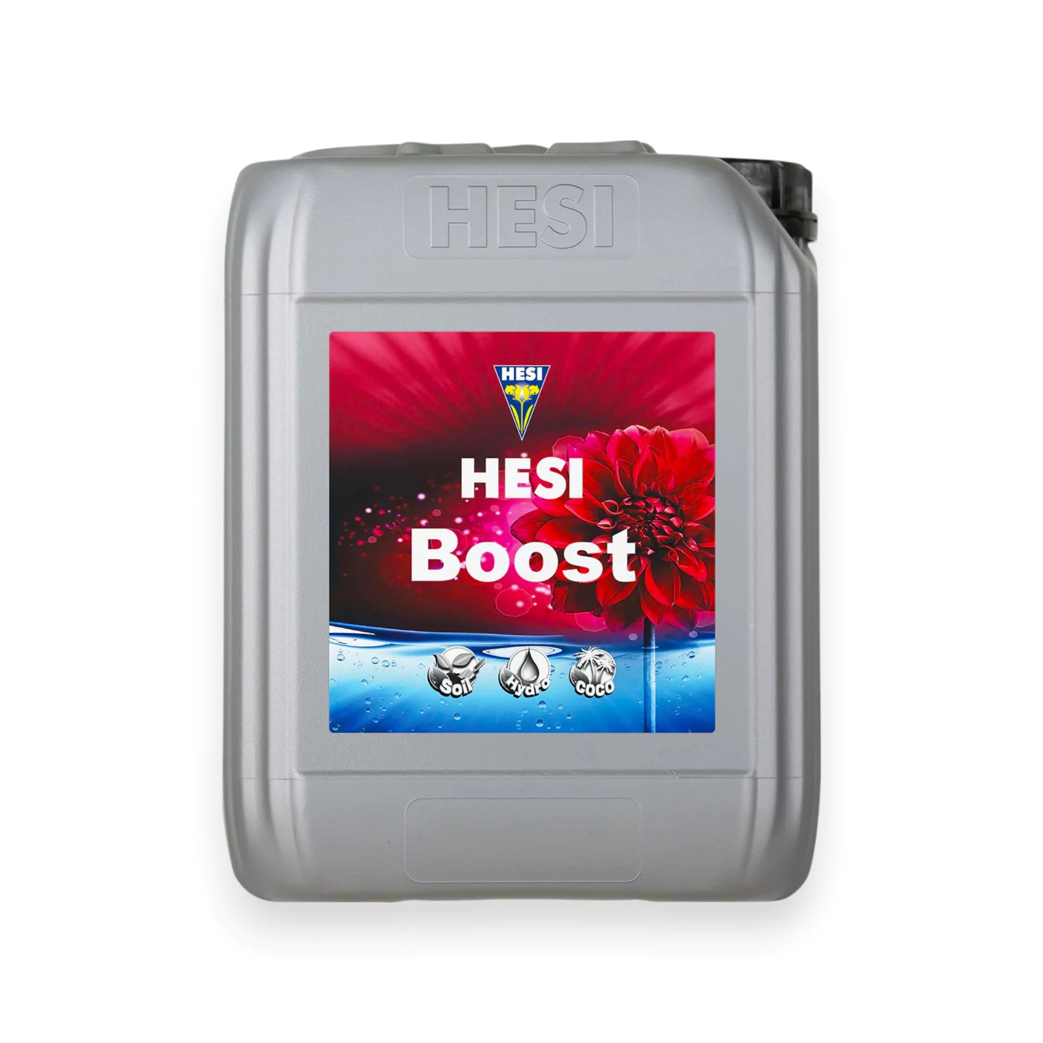 Hesi Boost