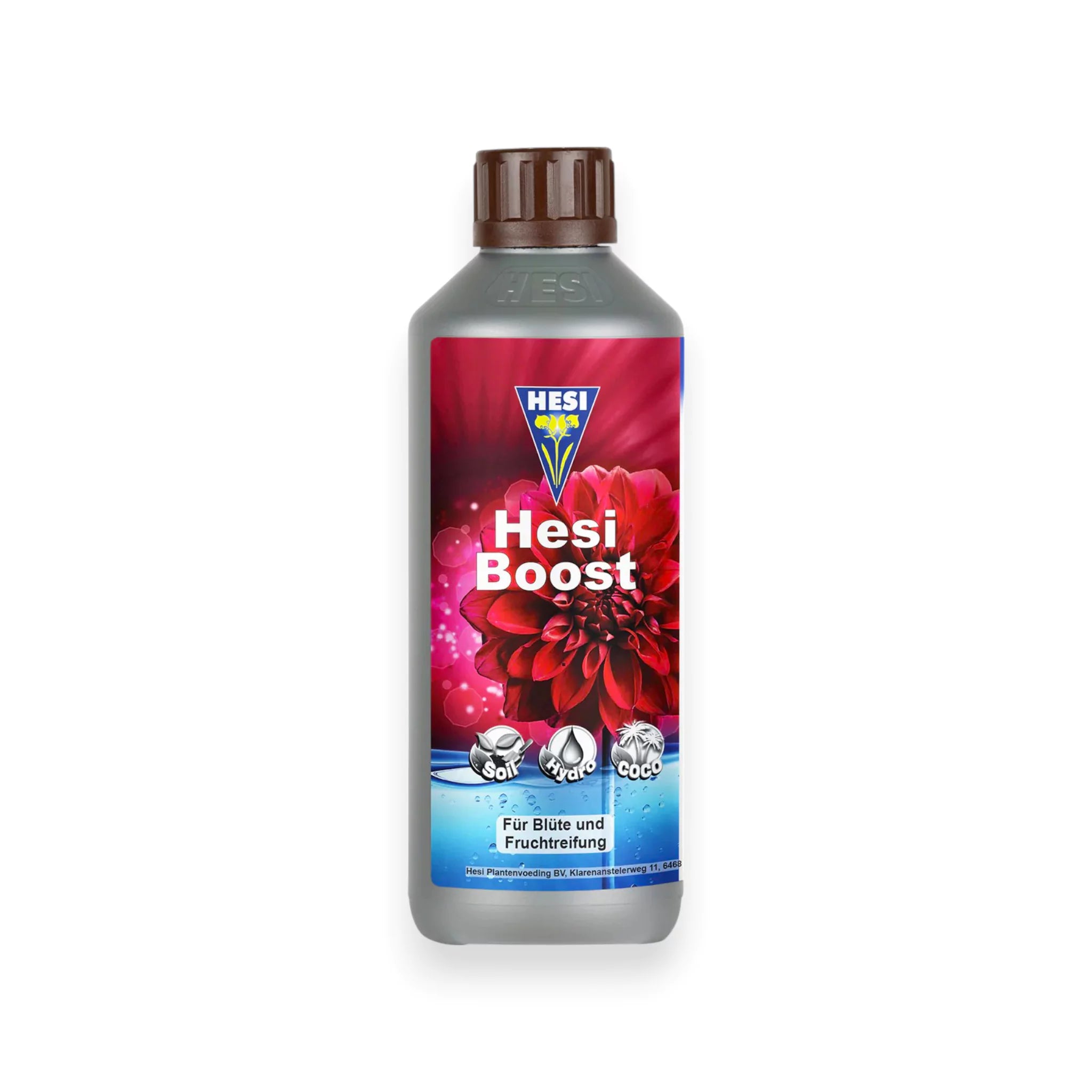 Hesi Boost