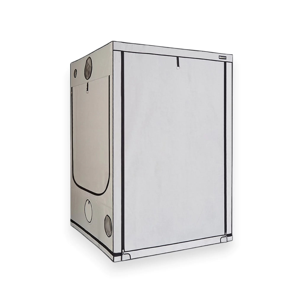 HOMEbox Ambient Q150+