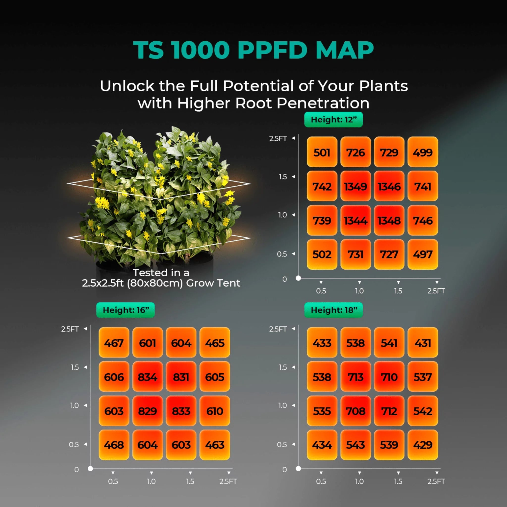 Mars Hydro TS-1000